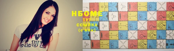 мдпв Бородино