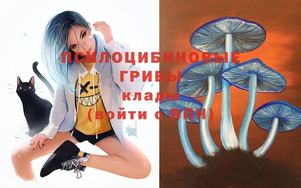 мдпв Бородино