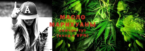 мдпв Бородино