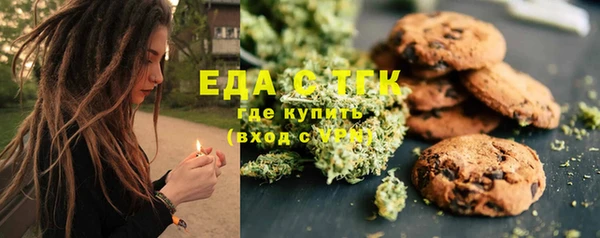 мдпв Бородино