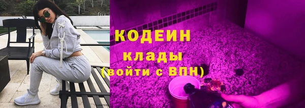 мдпв Бородино