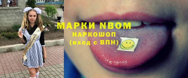 мдпв Бородино
