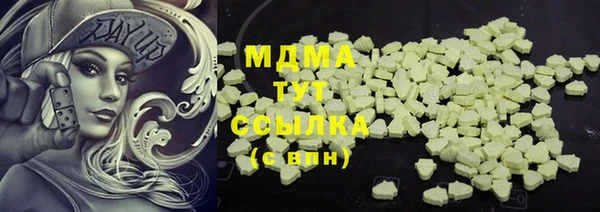 мдпв Бородино